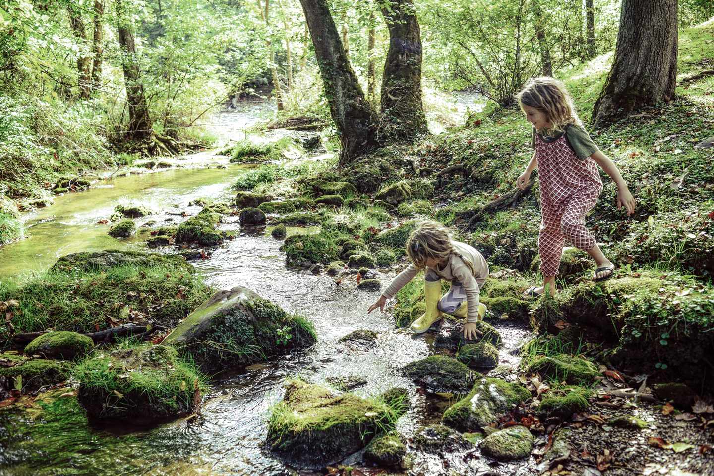 deutschland-harz-wald-spielendekinder-g-957387180.jpg