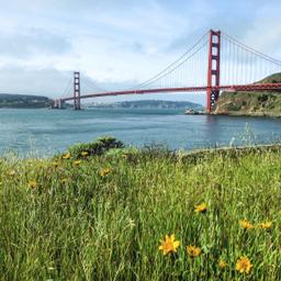 usa-san-francisco-t-517816925.jpg