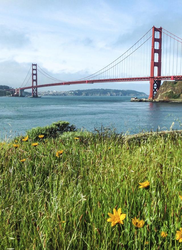 Städtereisen Nordamerika usa-san-francisco-t-517816925.jpg