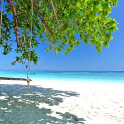 thailand-strand-schaukel-t-482730730.jpg