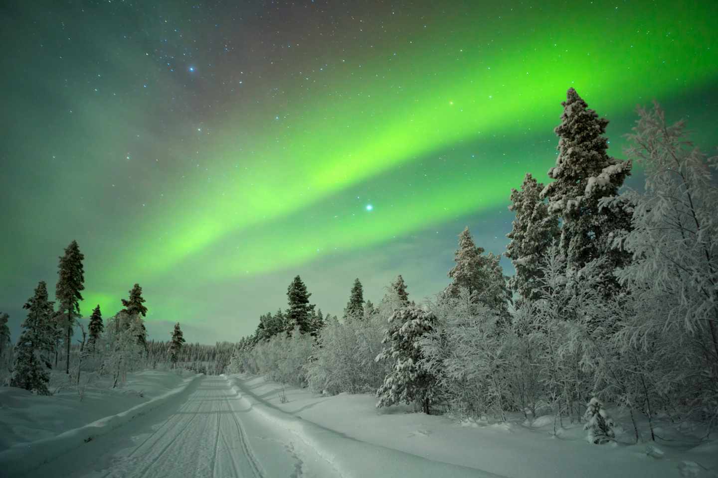finnland-lappland-schneewanderung-polarlichter-g-186546637.jpg