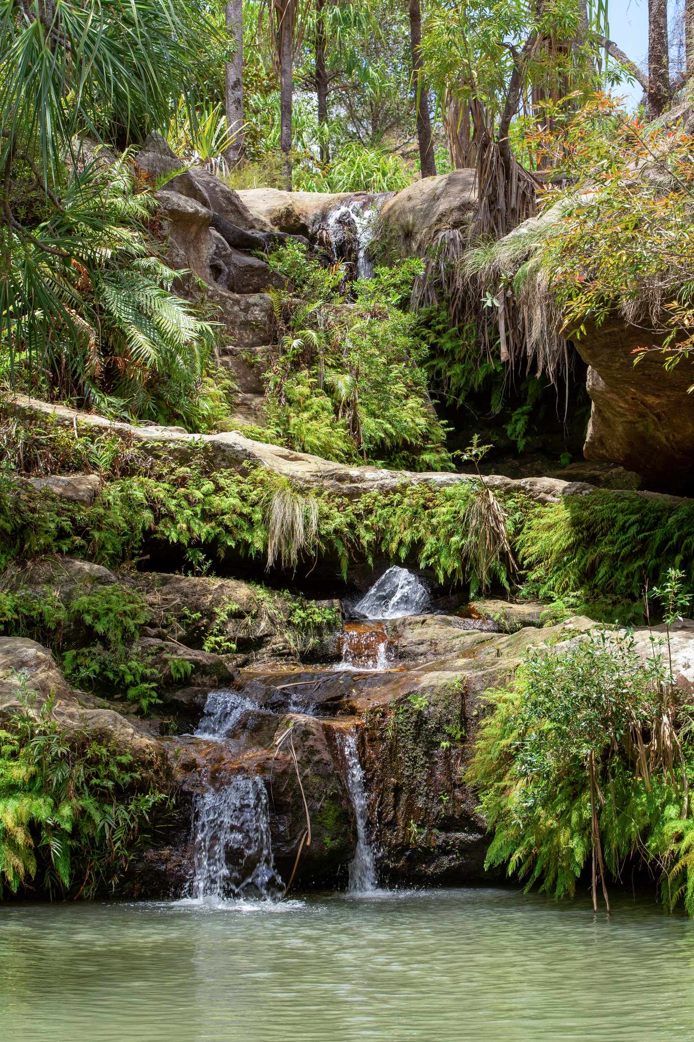blt7179d3f09ac40dd5-Ostafrika-Madagaskar-Regenwaldwasserfall-g-1456759492.jpg Wasserfall im Regenwald
