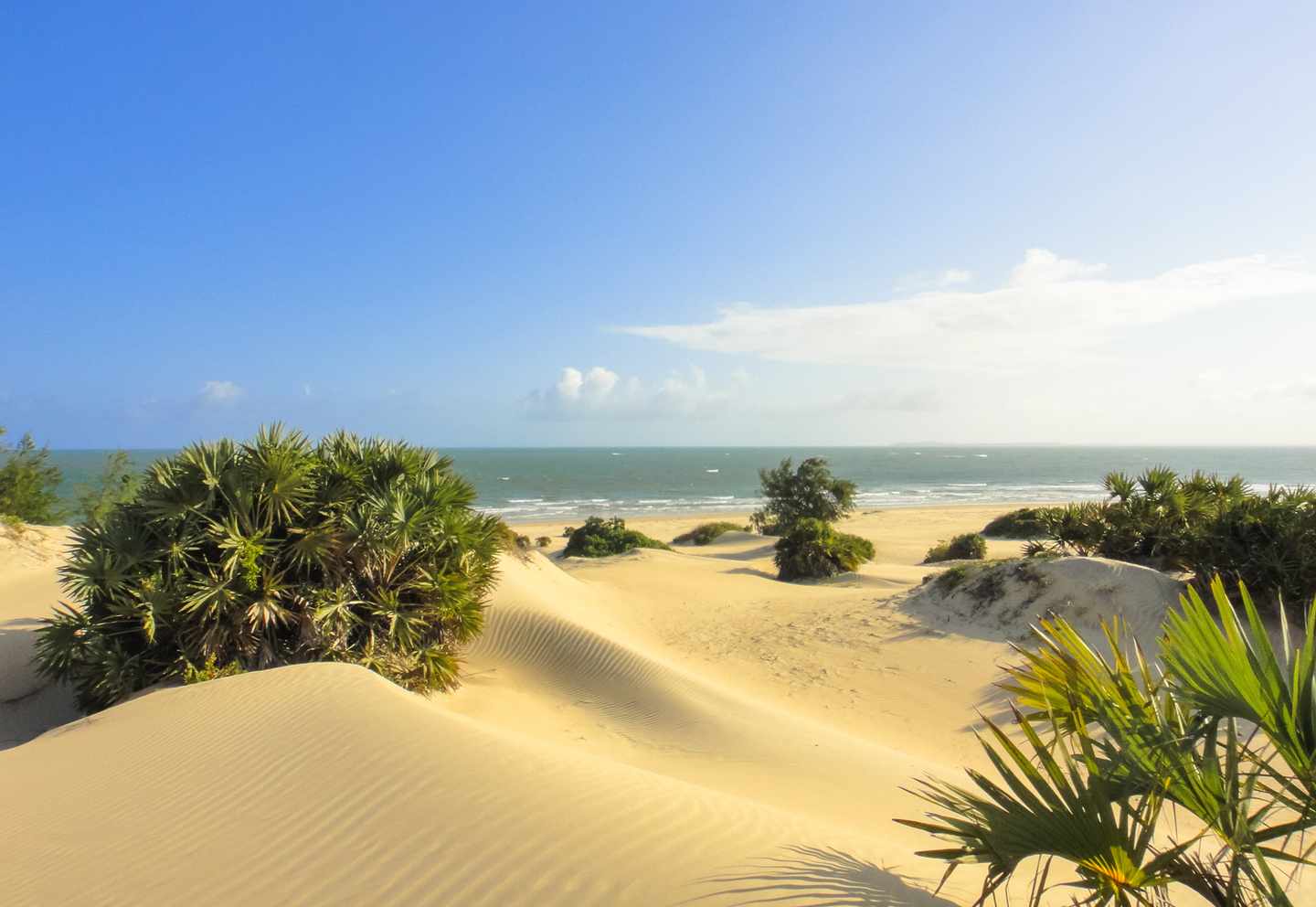 kenia-shela-strand-lamu-g-532057664.jpg