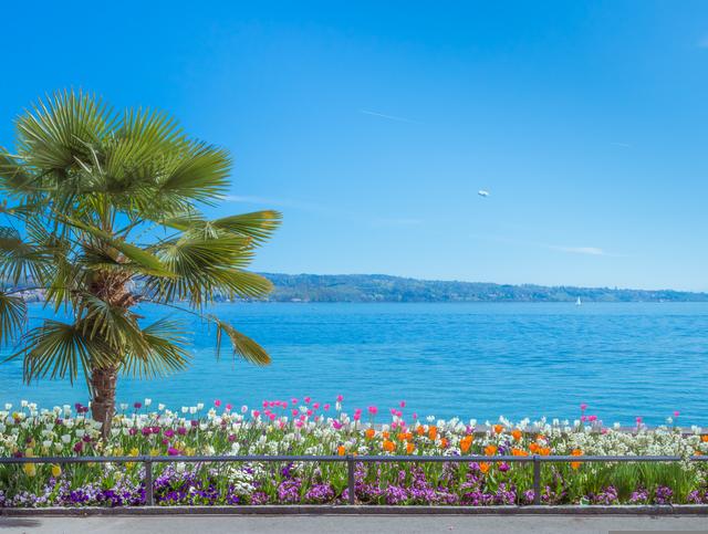 Radtour Bodensee: die Top-4-Radwege
