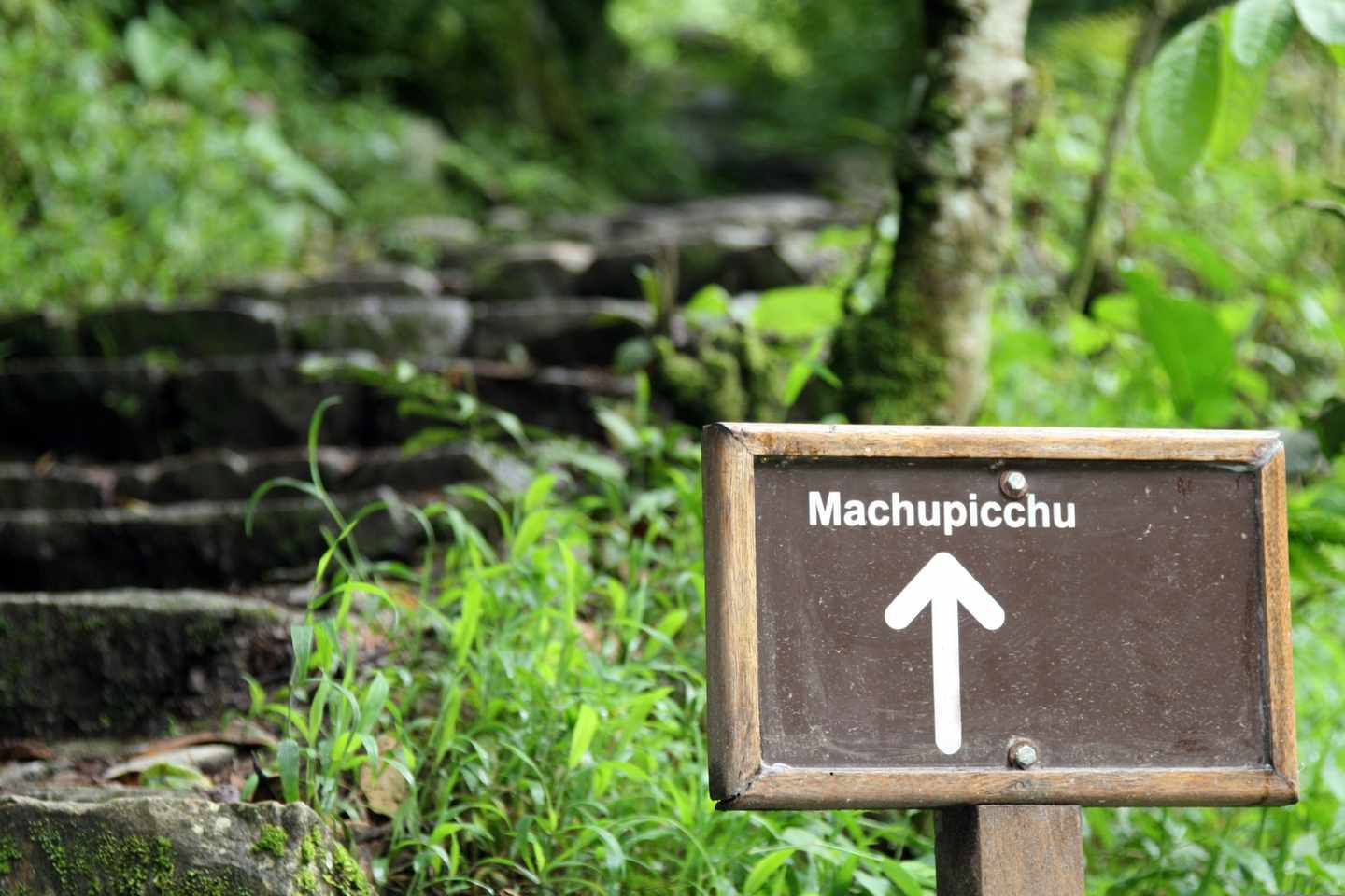peru-machu-picchu-wandern-g-157310365.jpg