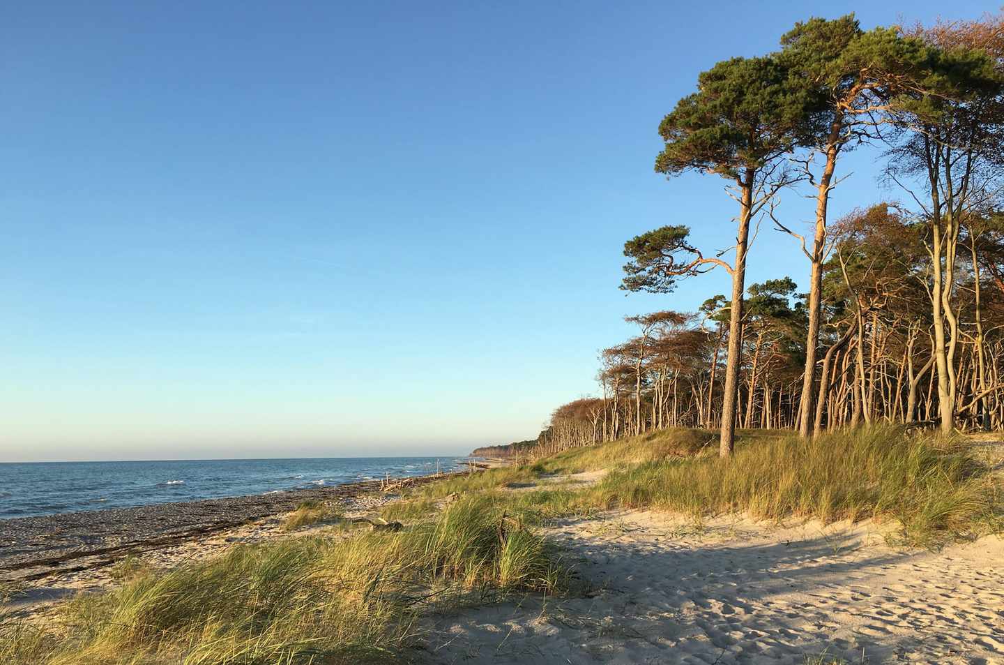 deutschland-ostsee-fischland-darss-zingst-weststrand-g-1215384561.jpg