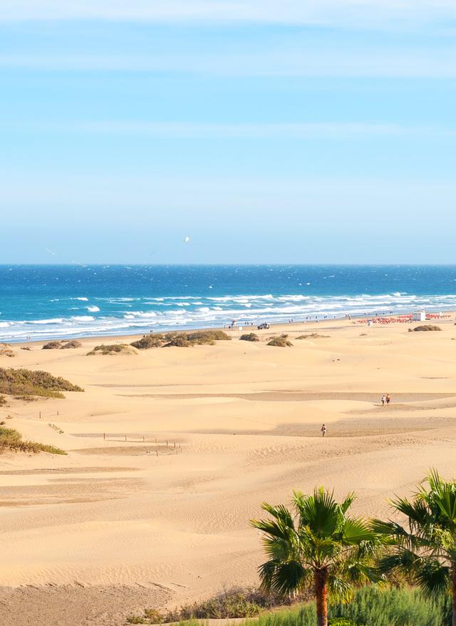Überwintern auf Gran Canaria spanien-gran-canaria-maspalomas-dunen-g-499426478