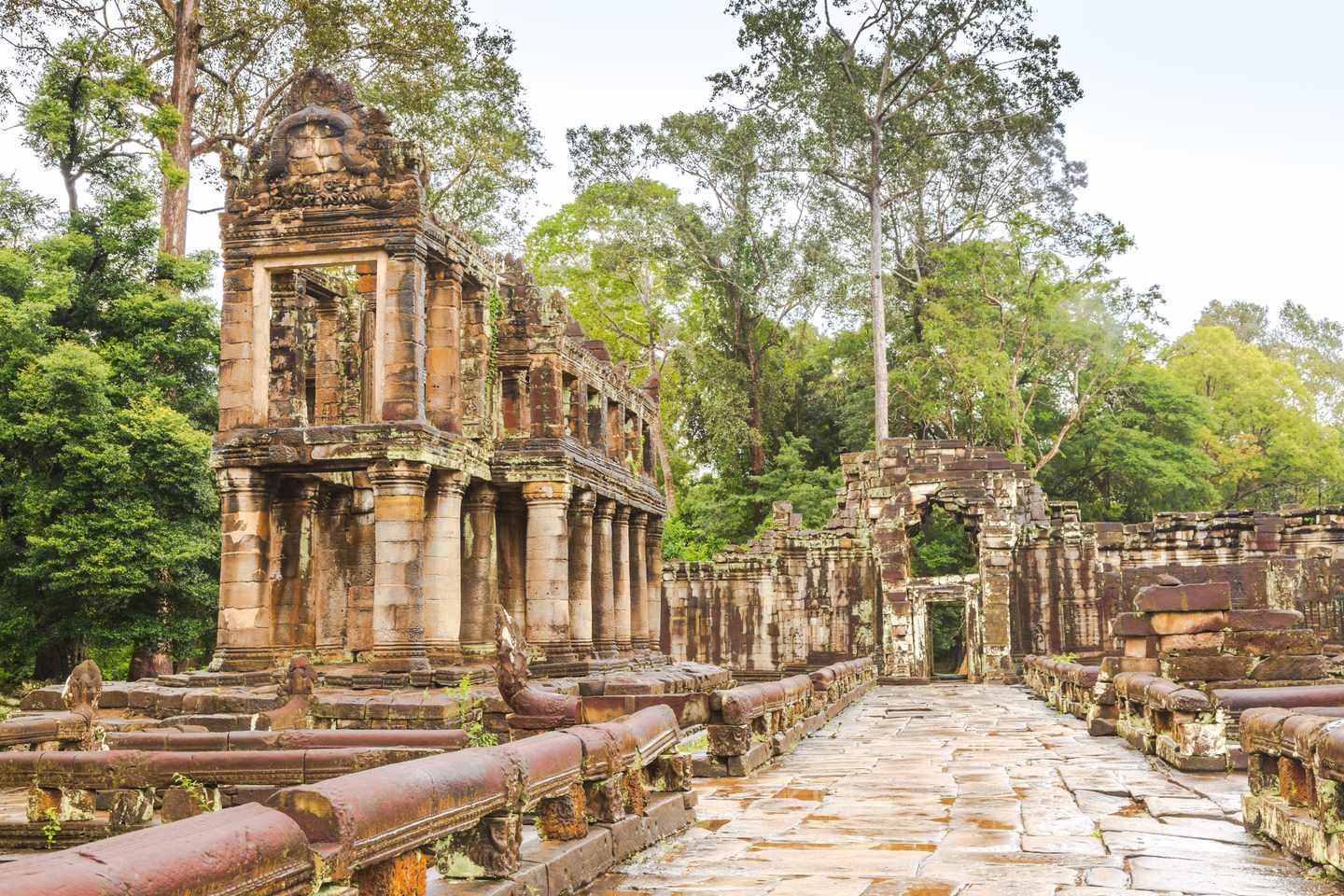 Kambodscha-Siem-Reap-Preah-Khan-Tempel-g-491680428.jpg