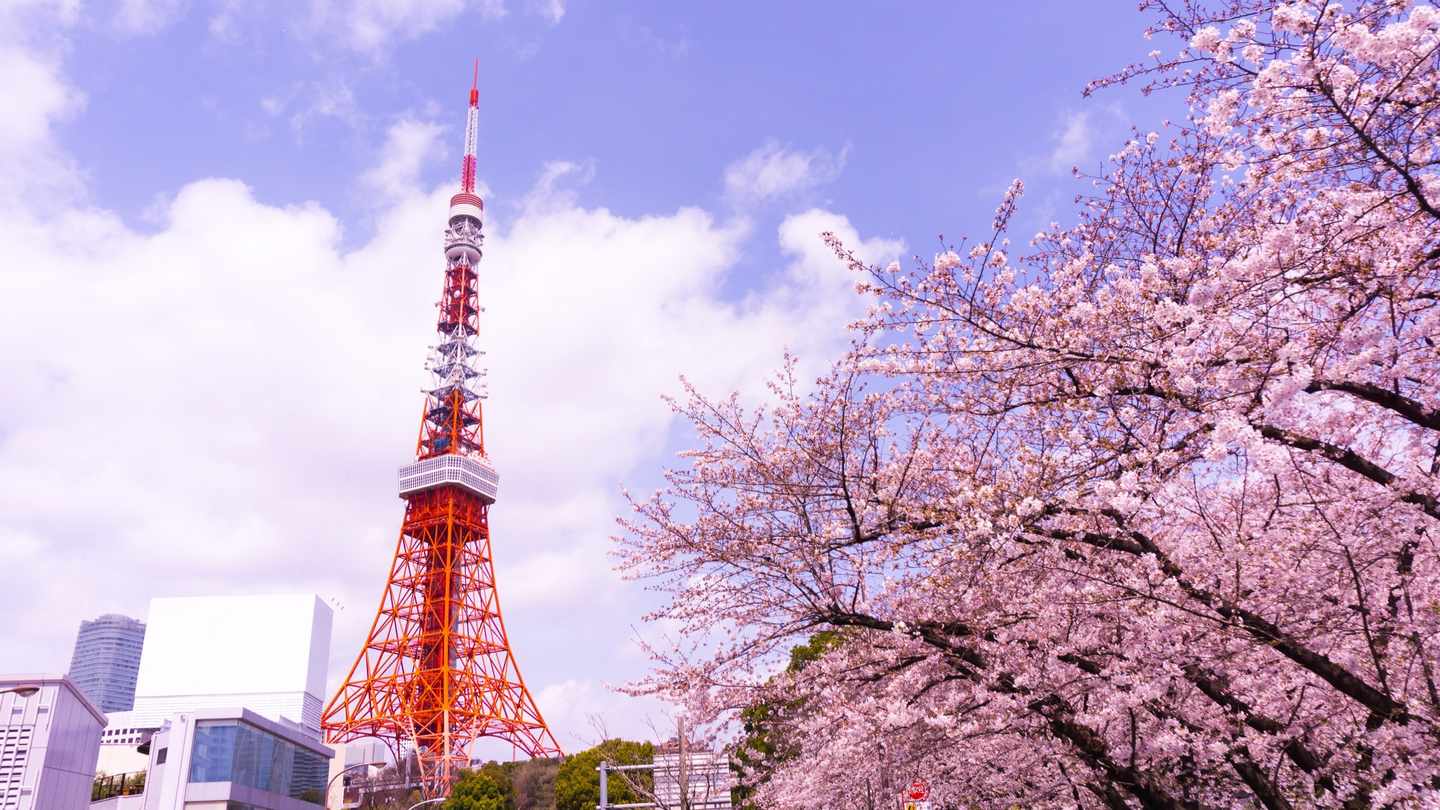 japan-tokio-tower-kirschbluete-t-675550618.jpg