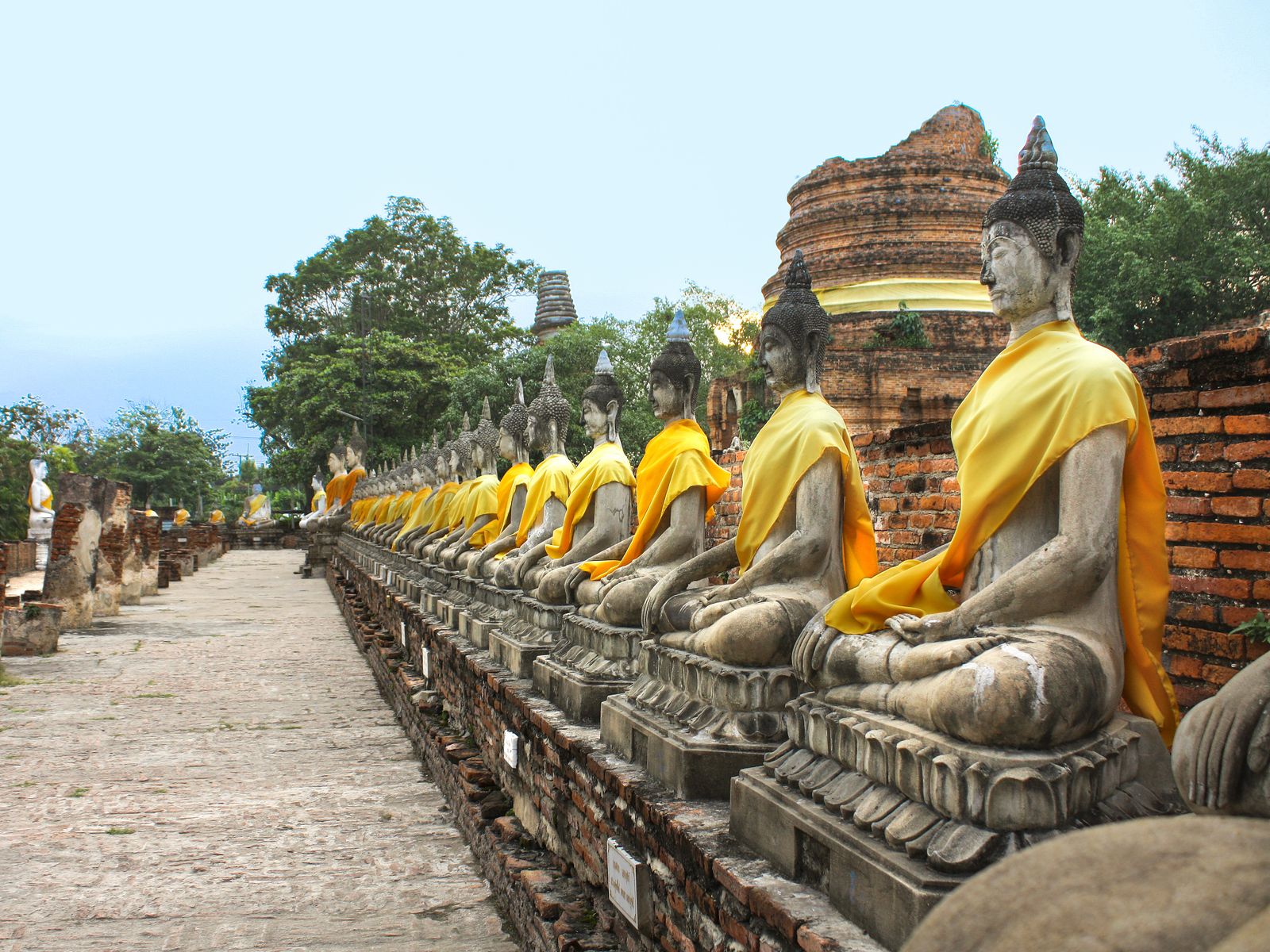 Buddha Statuen mit gelben Gewändern in einer Reihe