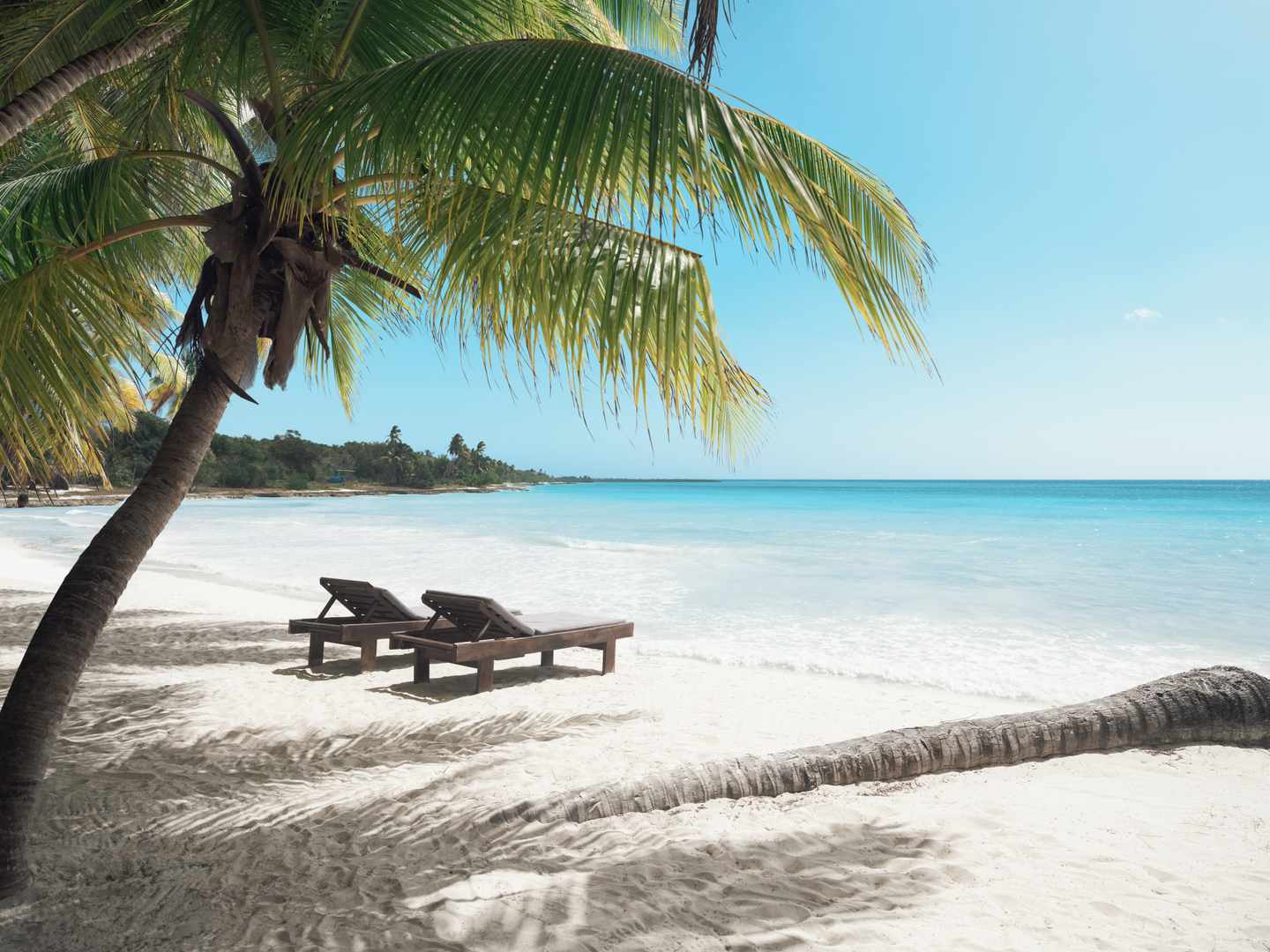 dominikanische-republik-sonnenliegen-am-meer-g-1337444225_bearbeitet.jpg