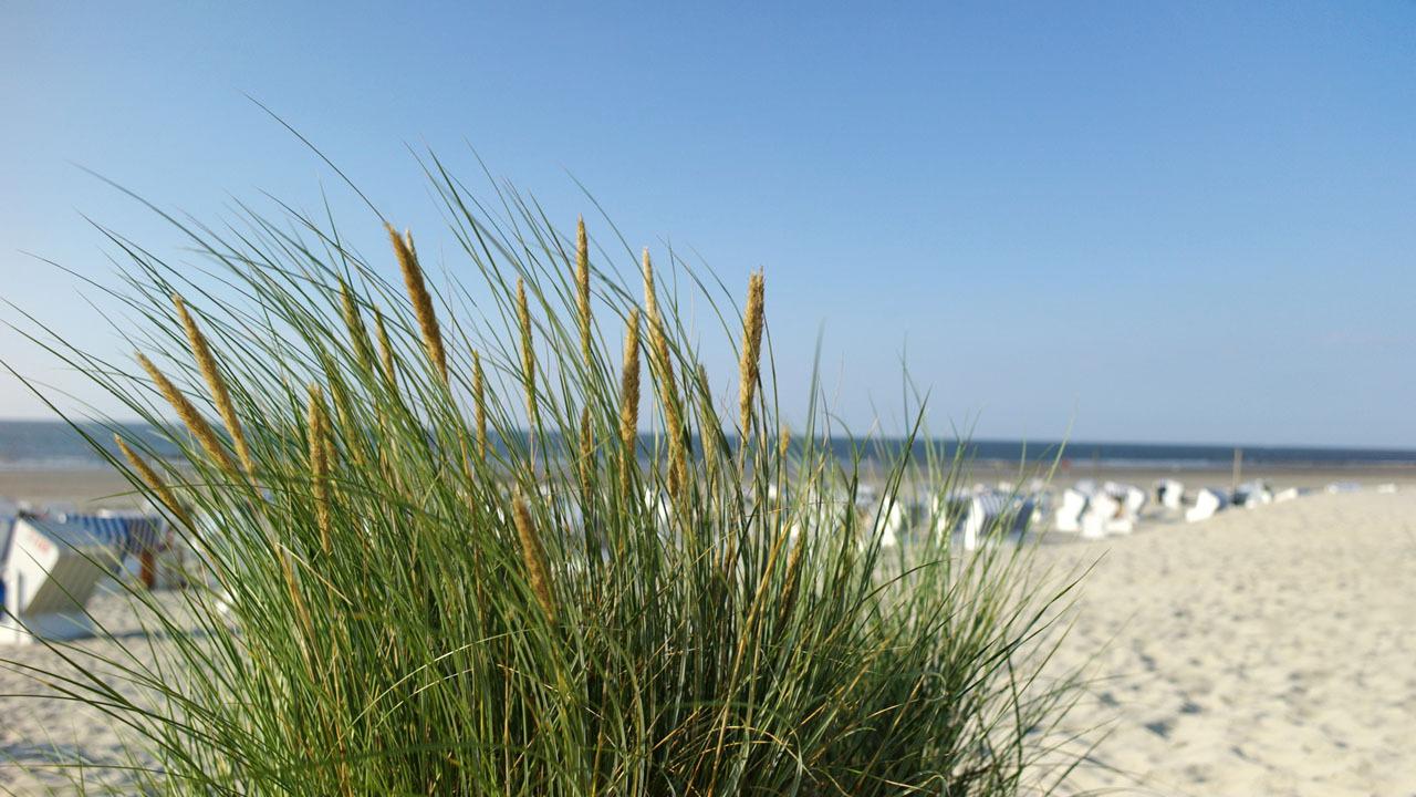 norderney-nordsee-strand-t-176825163.jpg