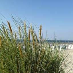 Hotel Norderney