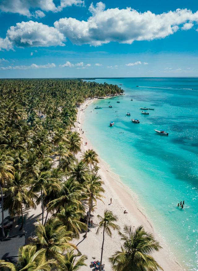 Karibik Dominikanische Republik Insel Saona Strand mit Palmen