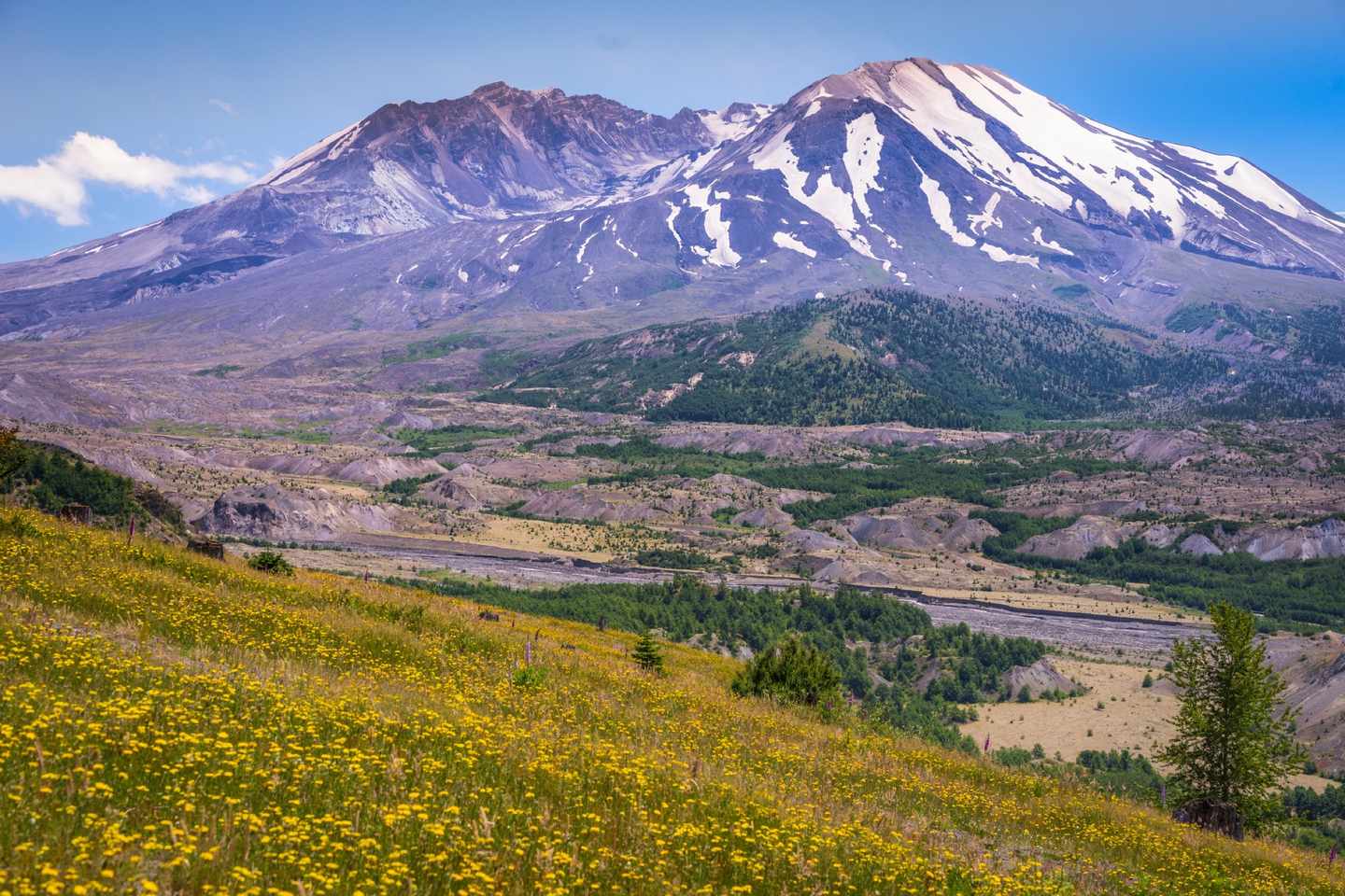 usa-bundesstaat-washington-mount-st-helens-t-929629486.jpg