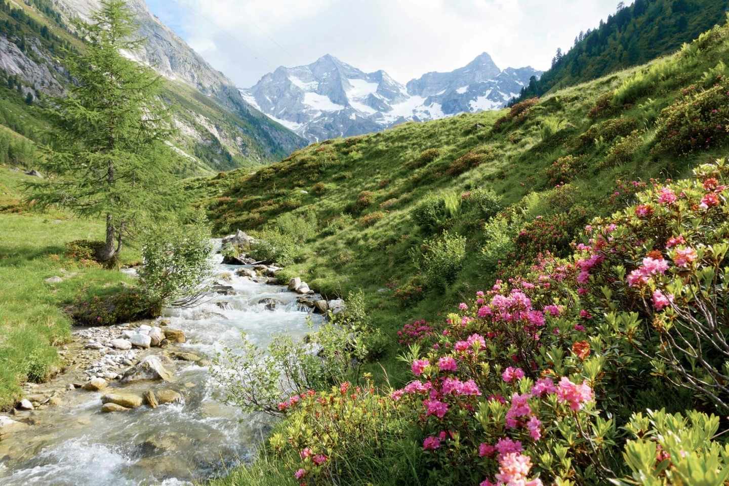 deutschland-alpen-gebirgsfluss-im-fruehling-g-515856010.jpg