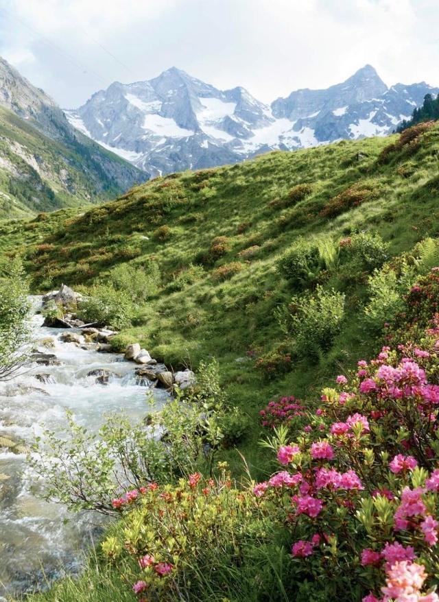 Hotel in Österreich buchen Österreich Gebirge