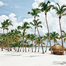 Dominikanische-Republik-Cap-Cana-Seacoast-g-155360345.jpg
