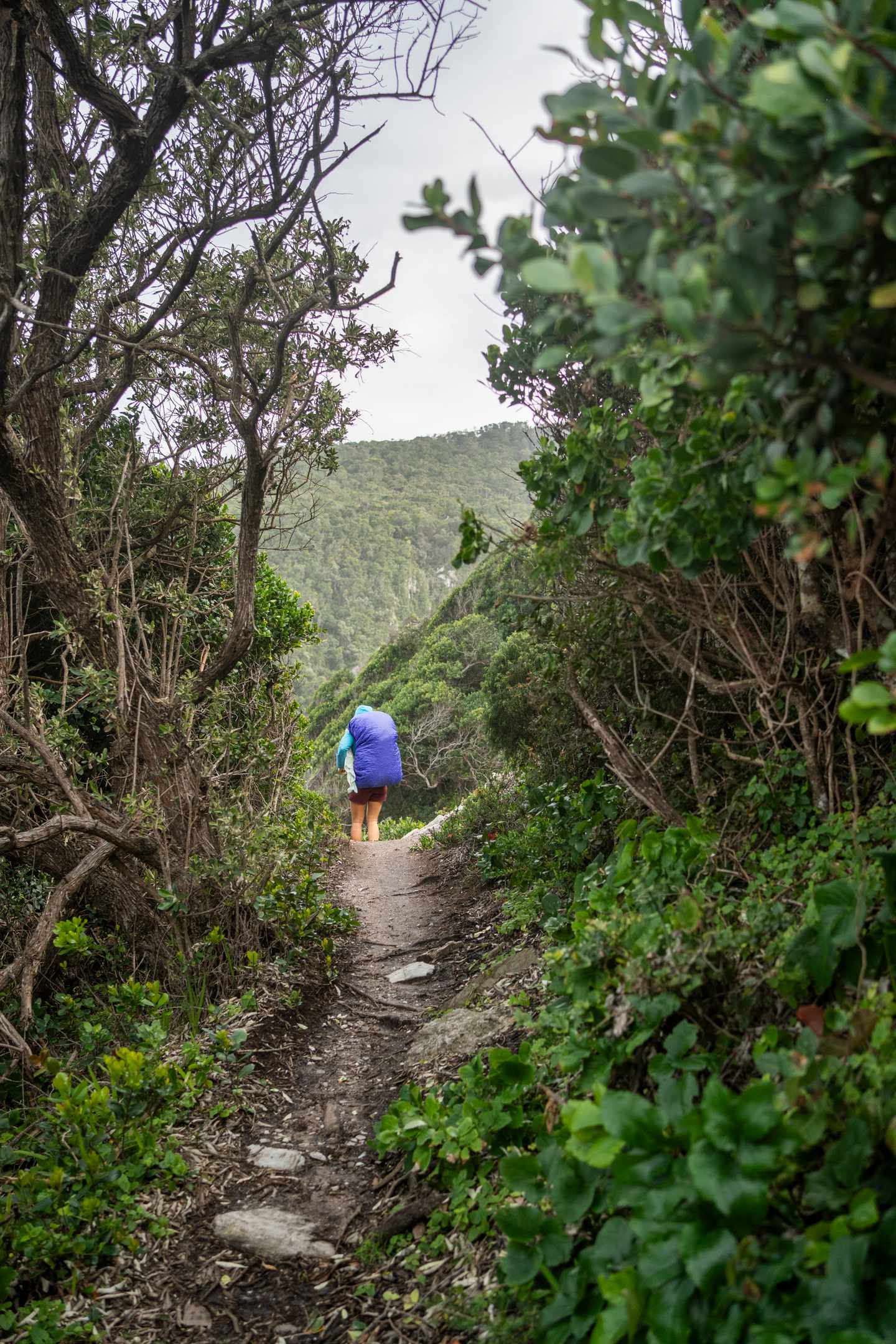 Tsitsikamma Nationalpark: Frau auf einem Wildnispfad