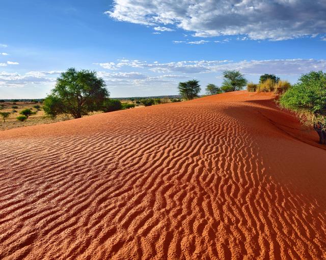 Namibia: Wüste, Küste und Safari erleben
