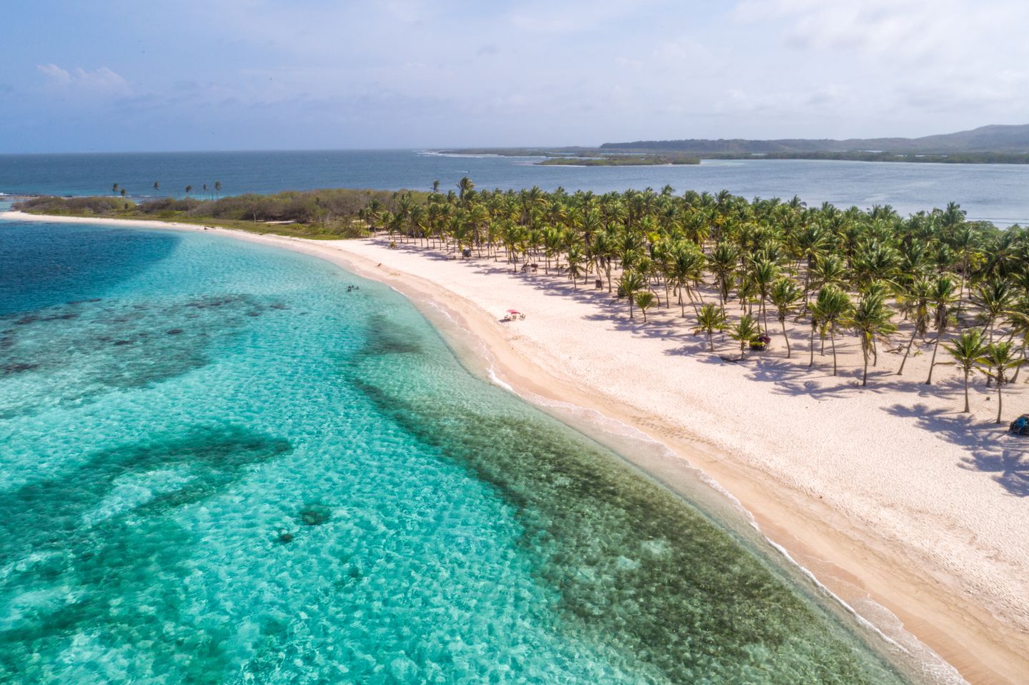 Bahamas Urlaub: Sandstrand mit Palmen