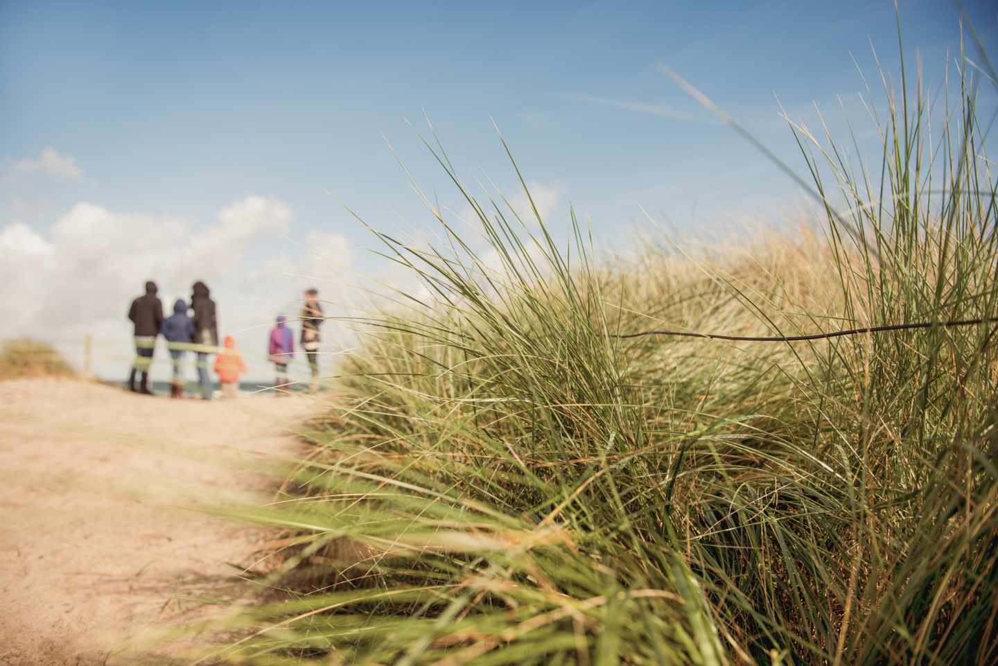 deutschland-nordsee-menschen_in_duenenlandschaft-g-1074150132.jpg