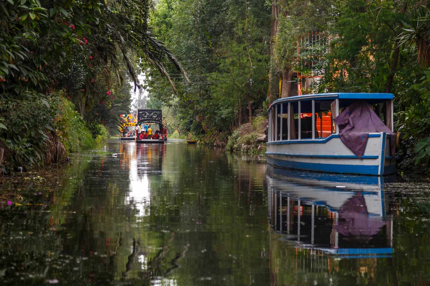 mexiko-stadt-xochimilco-boot-g-833788284.jpg