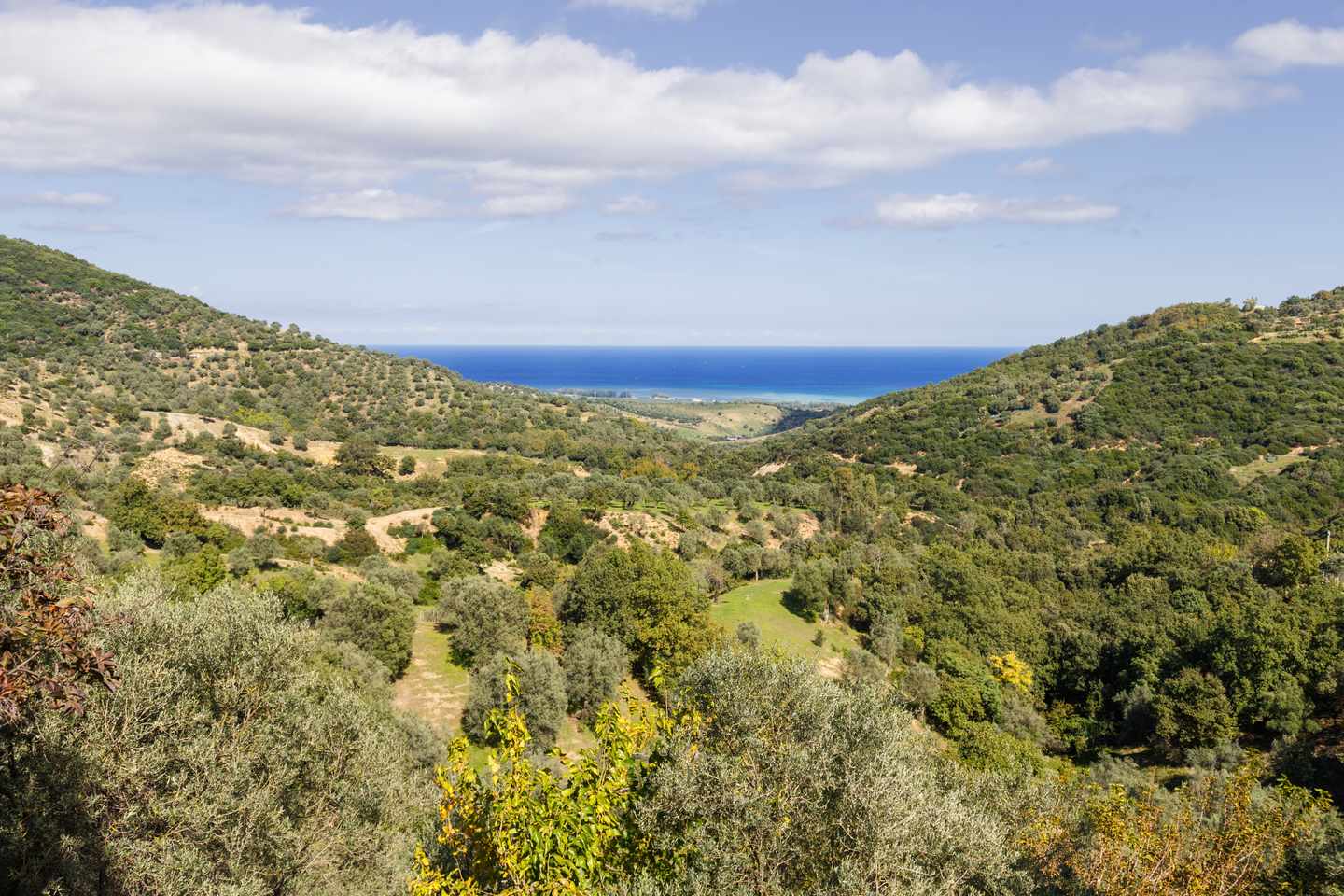 italien-kalabrien-aspromonte-landschaft-g-1487702402.jpg