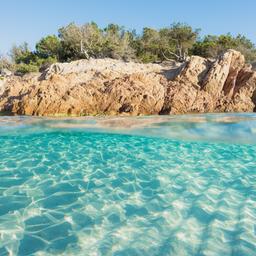italien-sardinien-tauchen-g-1342192031.jpg