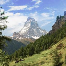 schweiz-wallis-zermatt-matterhorn-g-1208962697.jpg