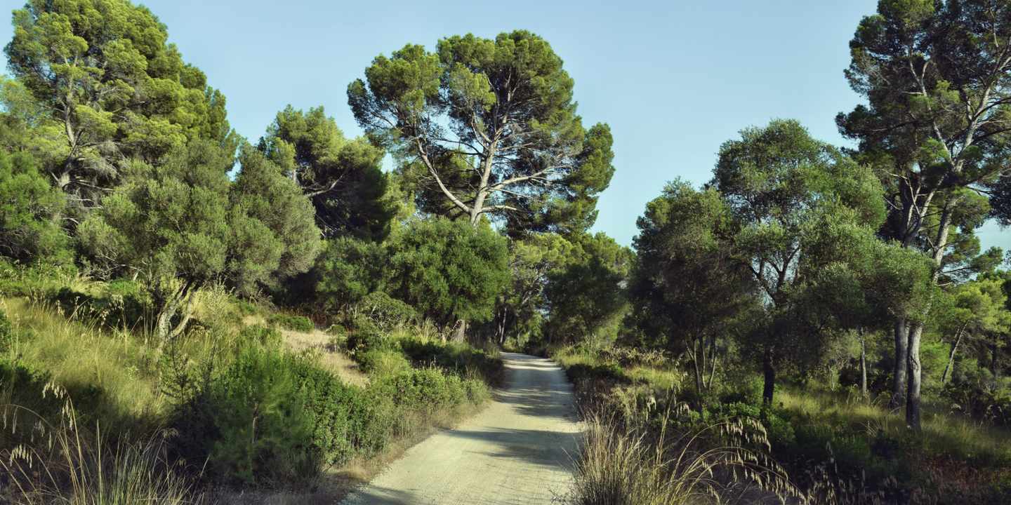 spanien-mallorca-puig-de-sant-marti-g-1145101997.jpg