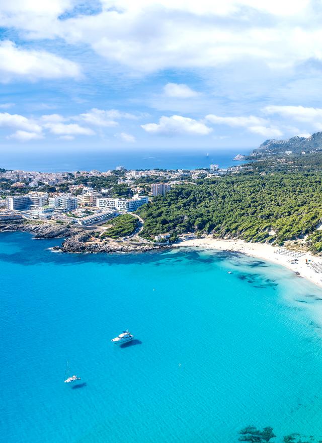 Zu den Angeboten Mallorca