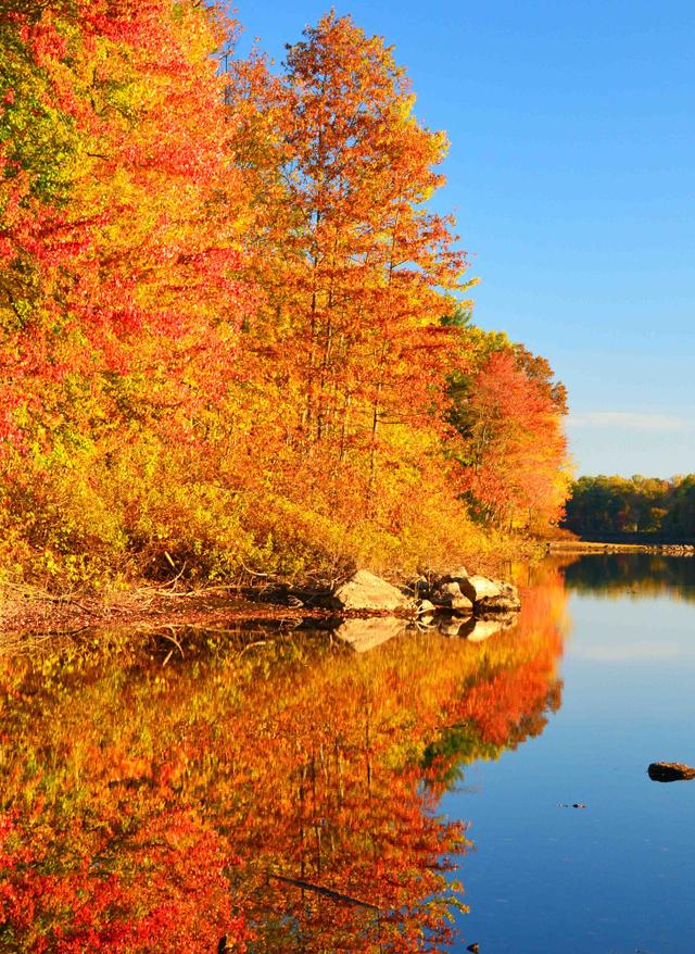 usa-see-herbst-g-977223380.jpg