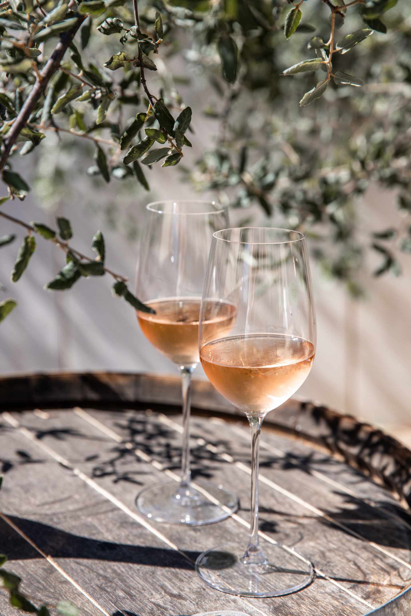 bltaeb0c866b4ed2e44-deutschland-weinglaeser-rose-g-1689296737.jpg Rosé in Weingläsern auf einem Tisch