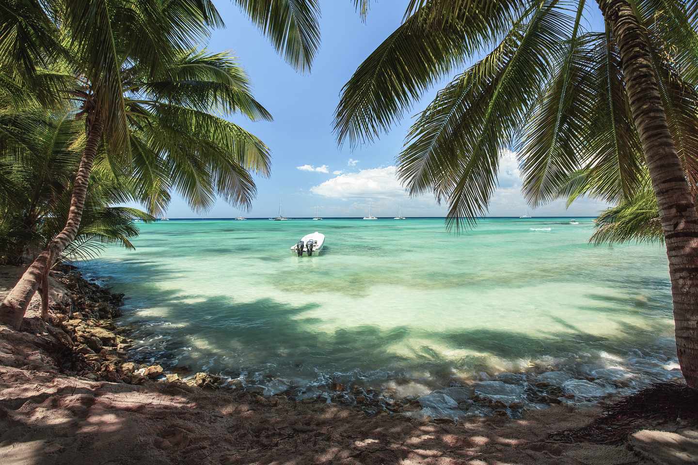 Dominikanische-Republik-Punta-Cana-Insel-Saona-g-1465534160.jpg