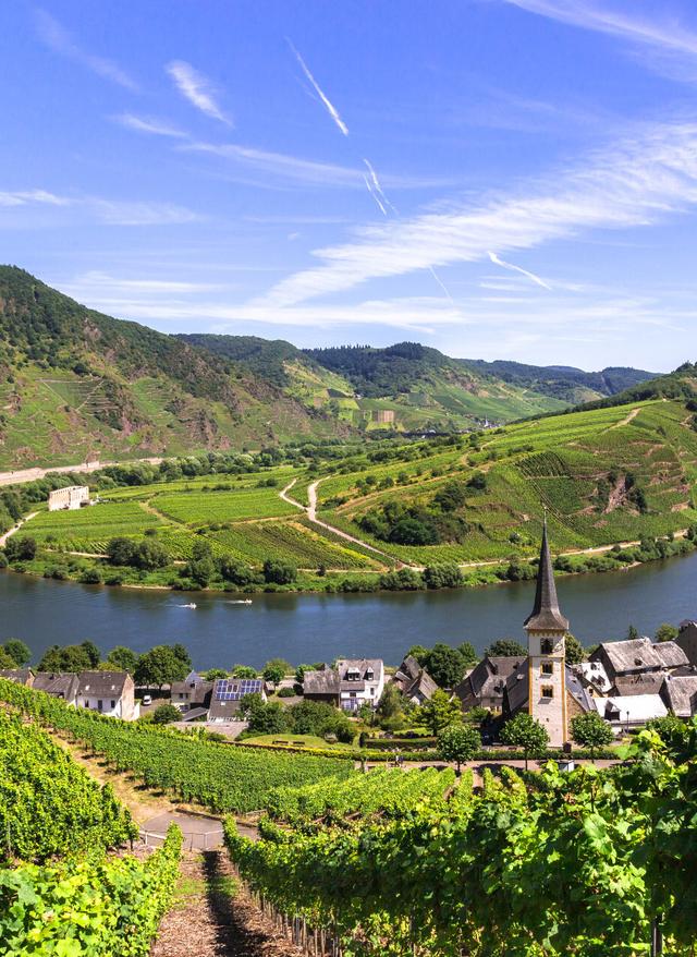 Zu den Angeboten Hotel in Rheinland-Pfalz mit Bahn - Moselschleife bei Bremm