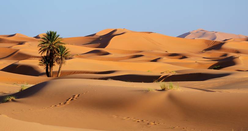 blt426d3e07442842ce-marokko-sandduenen-sahara-wueste-palme-g-665139550.jpg marokko-sandduenen-sahara-wueste-palme-g-665139550.jpg