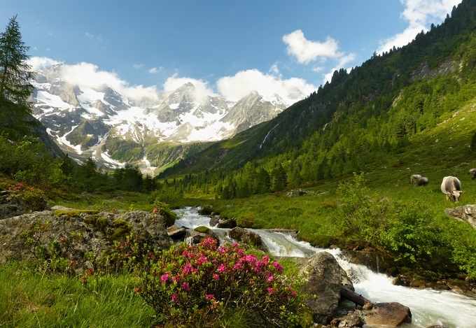 wanderurlaub-alpen-alpine-idylle-g-453082403.jpg