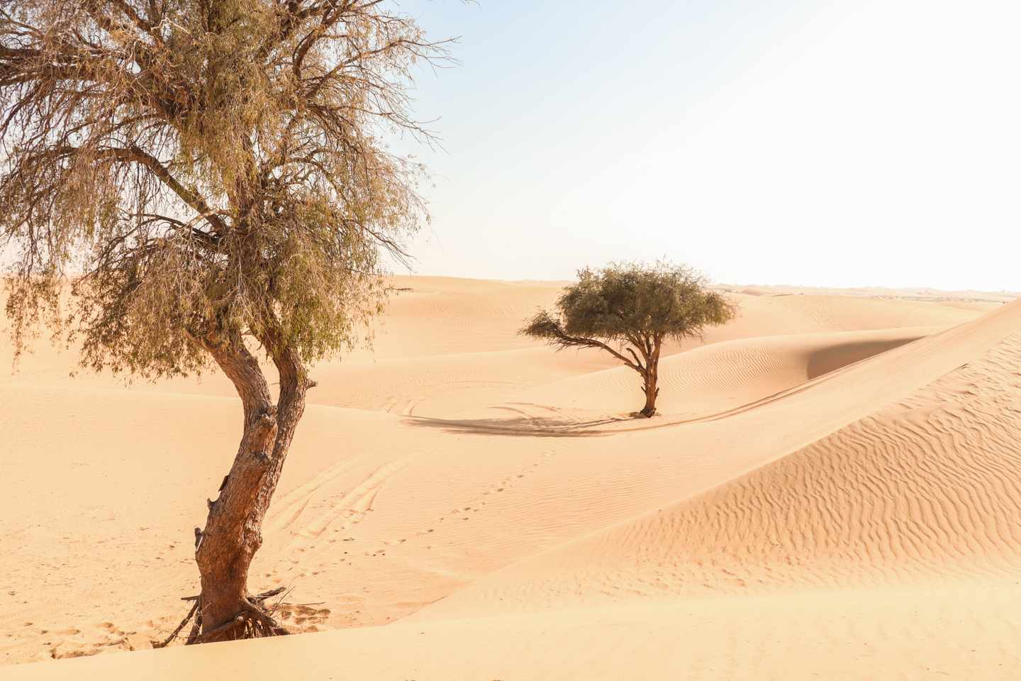 vae-ras-al-al-khaimah-g-1401401384.jpg