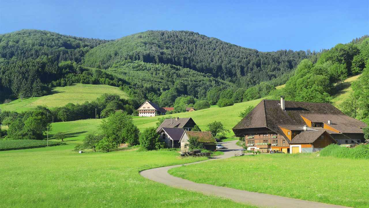 schwarzwald-gehoeft-t-185850674.jpg