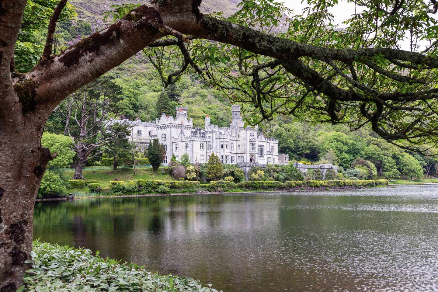 blt538061d3a259103f-irland-connemara-kylemore-abbey-g-2172543738-1.jpg Kylemore Abbey in Connemara: Schloss an See im Wald