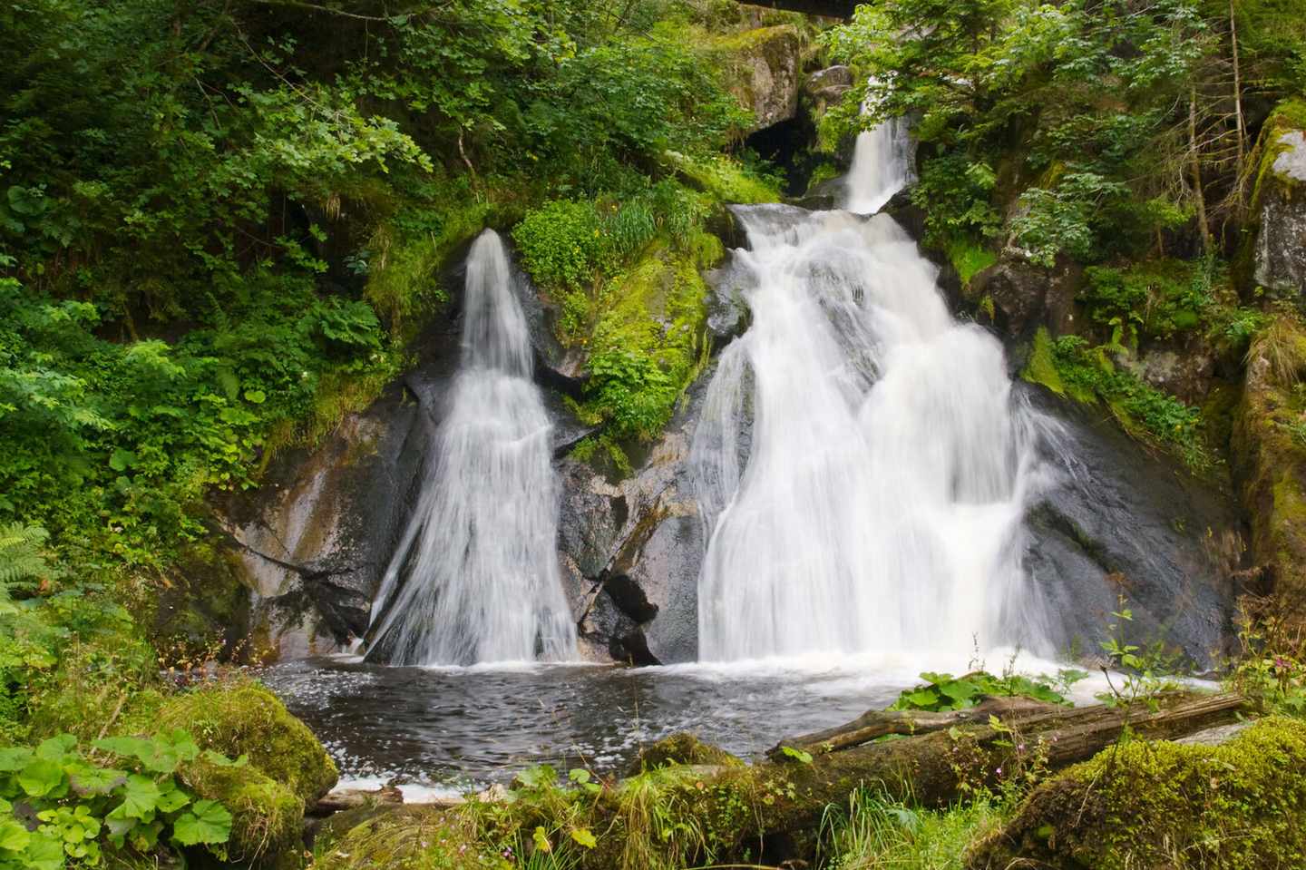schwarzwald-triberg-wasserfall-t-176886573.jpg