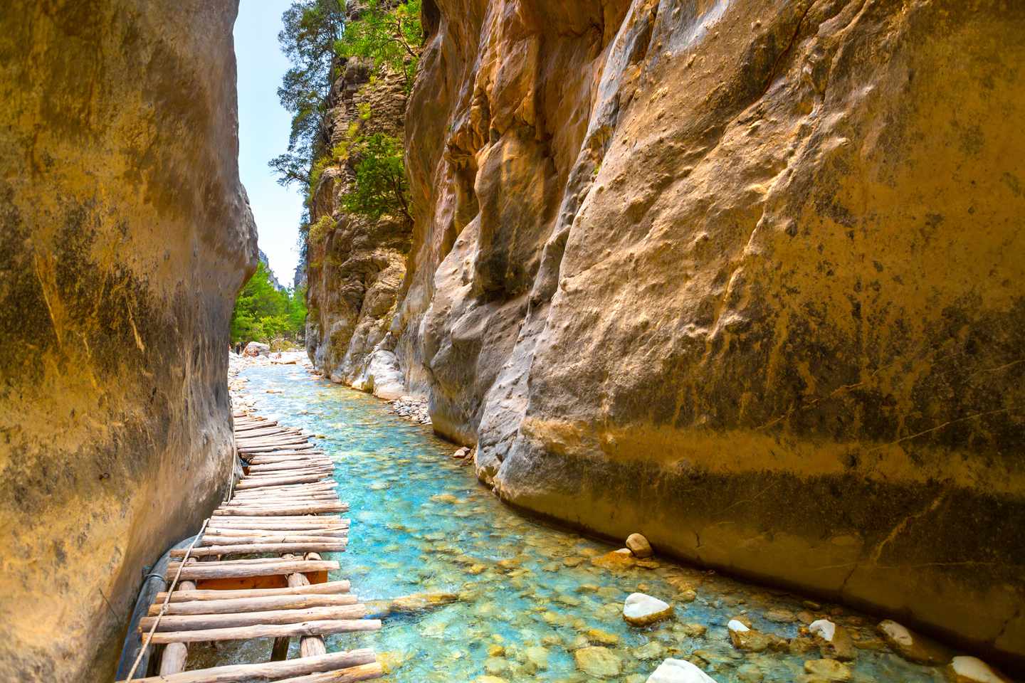 blt5807386726e5c455-griechenland-kreta-semaria-schlucht-g-1389134802.jpg Schlucht Semaria auf Kreta