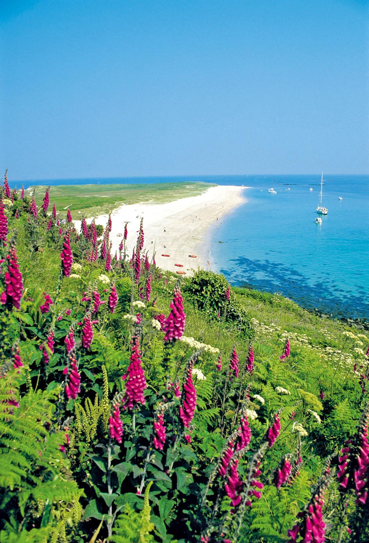 grossbritannien-kanalinseln-strand-p-l46121.jpg