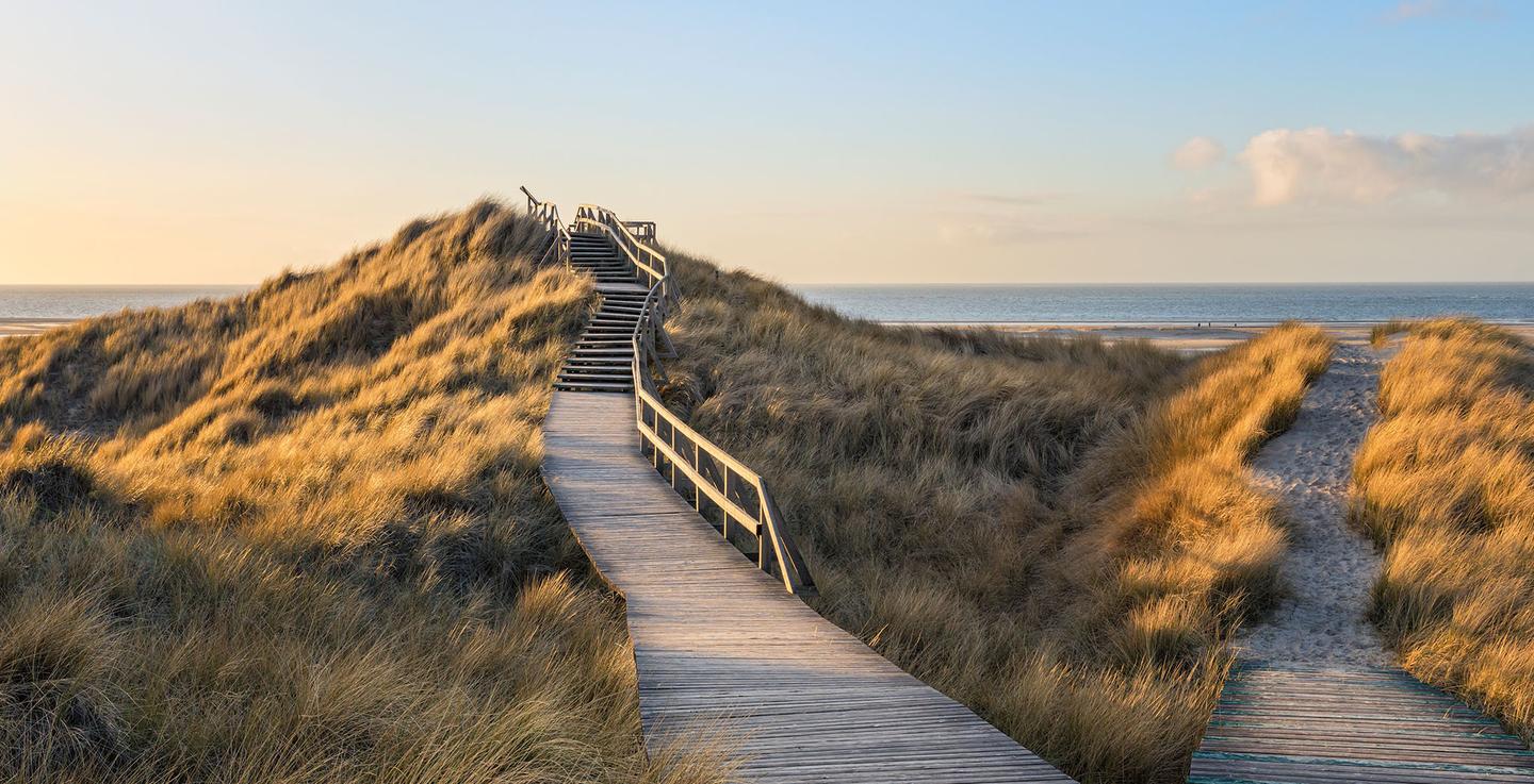 blt8040bea3aad3b092-deutschland-nordsee-tagesausflug-amrum-treppe-durch-duenen-g-1285256275.jpg deutschland-nordsee-tagesausflug-amrum-treppe-durch-duenen-g-1285256275.jpg