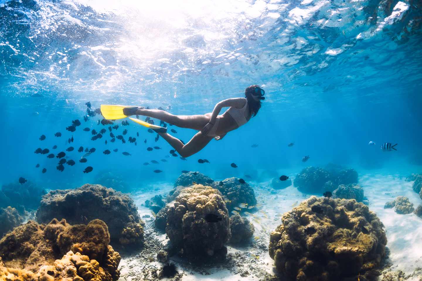 mauritius-schnorcheln-frau-unter-wasser-g-1193893480.jpg