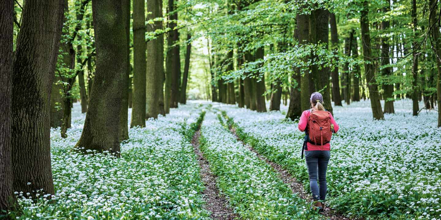 deutschland-waldbaden-frau-geht-durch-fruehlingshaften-wald-g-2152831825.jpg