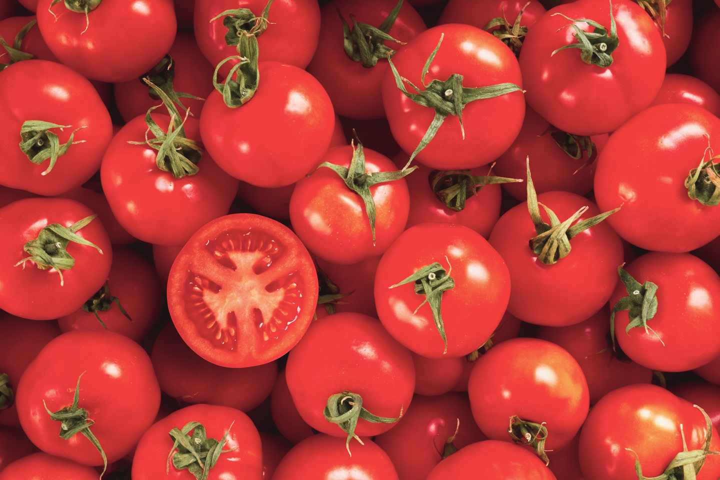 Spanien-la-tomatina-tomaten-g-171589415.jpg