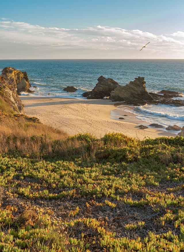 Zu den Angeboten Portugal Urlaub - das Meer von oben