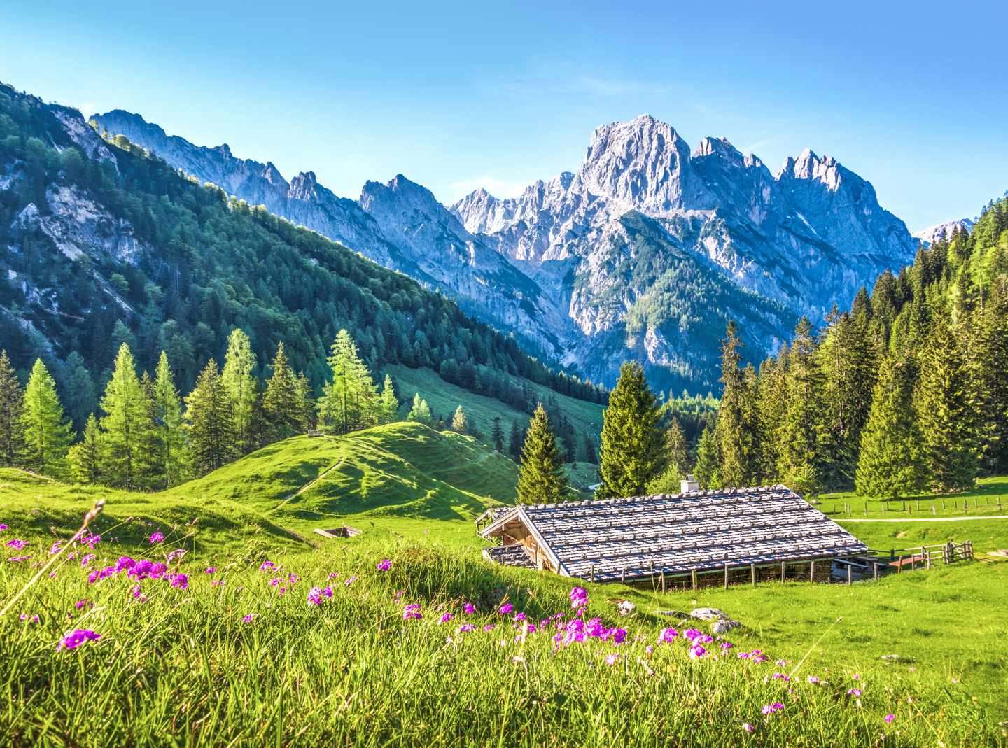 maria-alm-oesterreich-berge-t-698951546.jpg